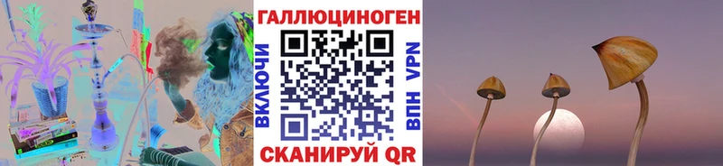 мега ТОР  Могоча  Псилоцибиновые грибы Psilocybine cubensis 